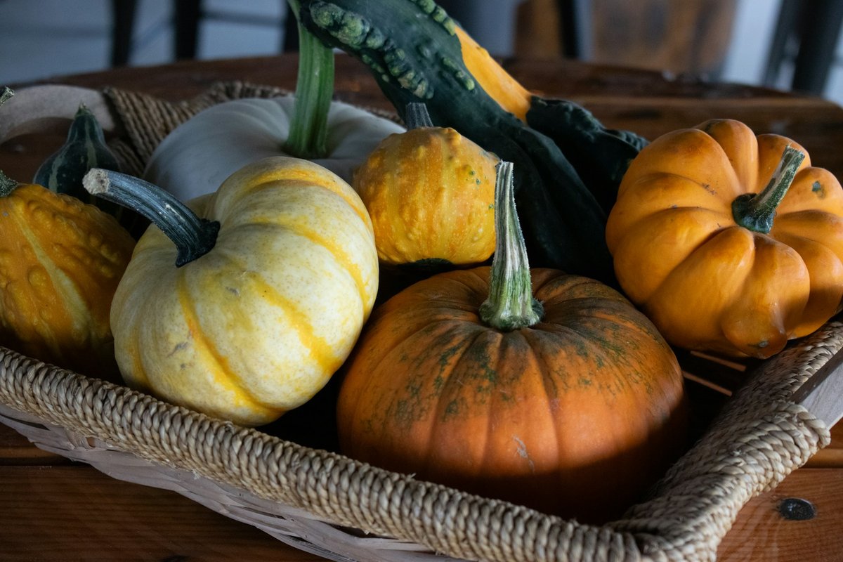 Panier de courges d'automne : potimarron, pâtisson, courge à cou tors